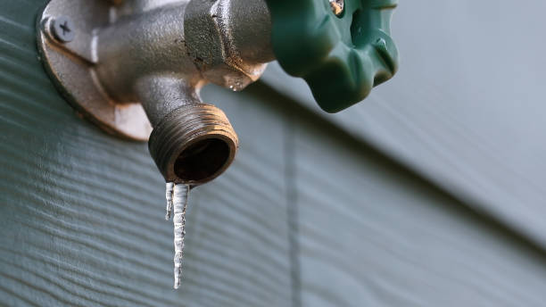 Best Plumbing Services Near Me  in Ammon, ID